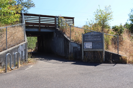 Option 1 &ndash; underpass below Springwater Corridor Trail &ndash; bike racks
